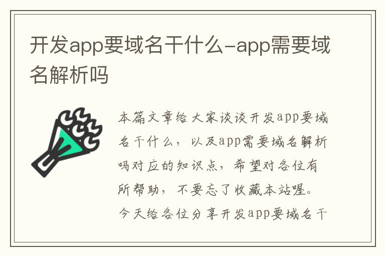 开发app要域名干什么-app需要域名解析吗