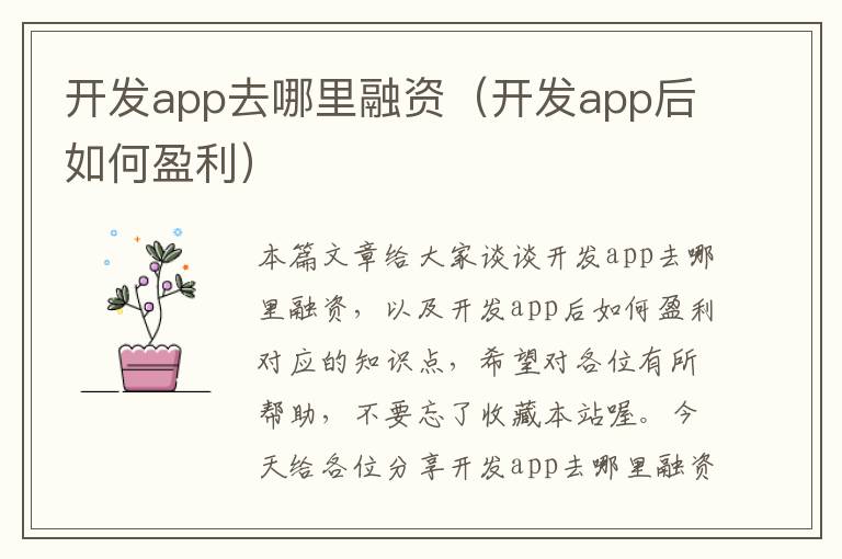开发app去哪里融资(开发app后如何盈利)