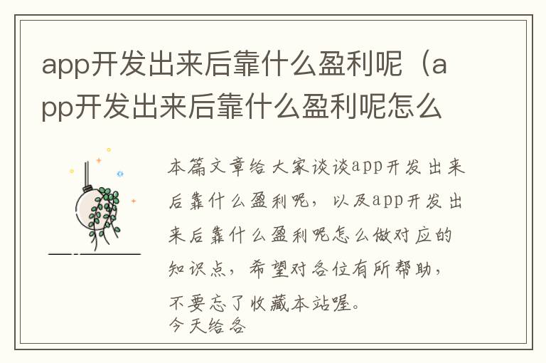 app开发出来后靠什么盈利呢(app开发出来后靠什么盈利呢怎么做)