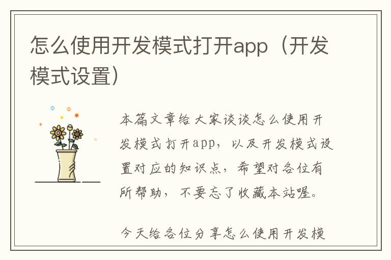 怎么使用开发模式打开app(开发模式设置)