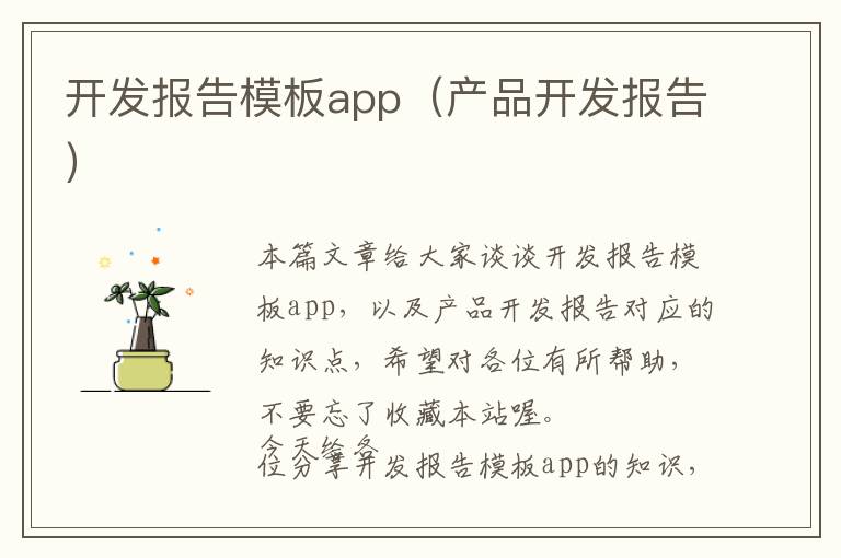 开发报告模板app(产品开发报告)