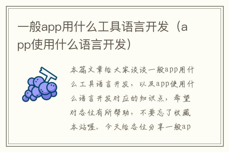 一般app用什么工具语言开发(app使用什么语言开发)