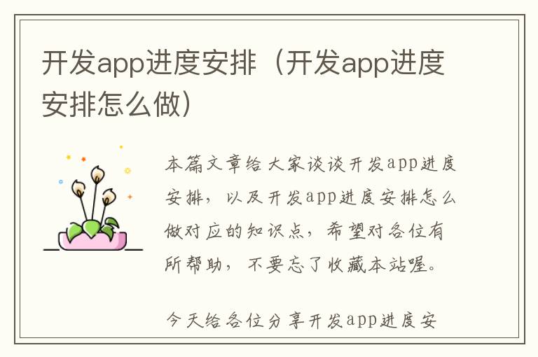 开发app进度安排(开发app进度安排怎么做)