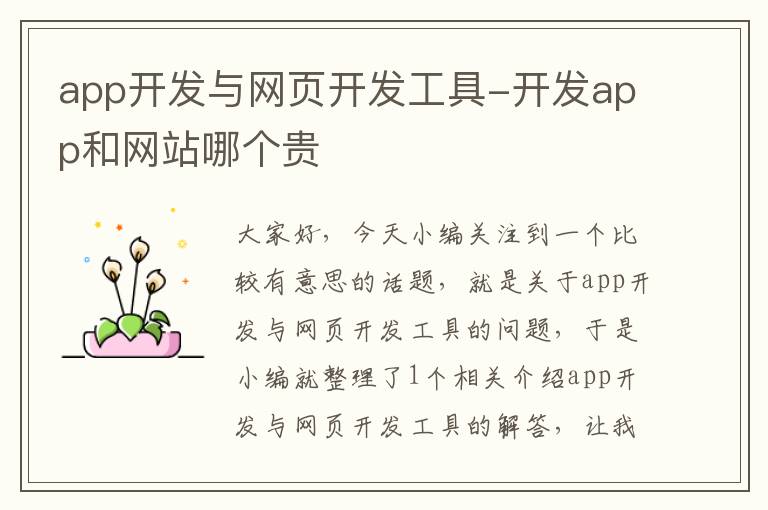app开发与网页开发工具-开发app和网站哪个贵