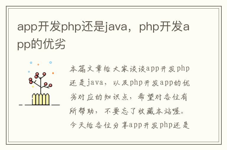 app开发php还是java,php开发app的优劣