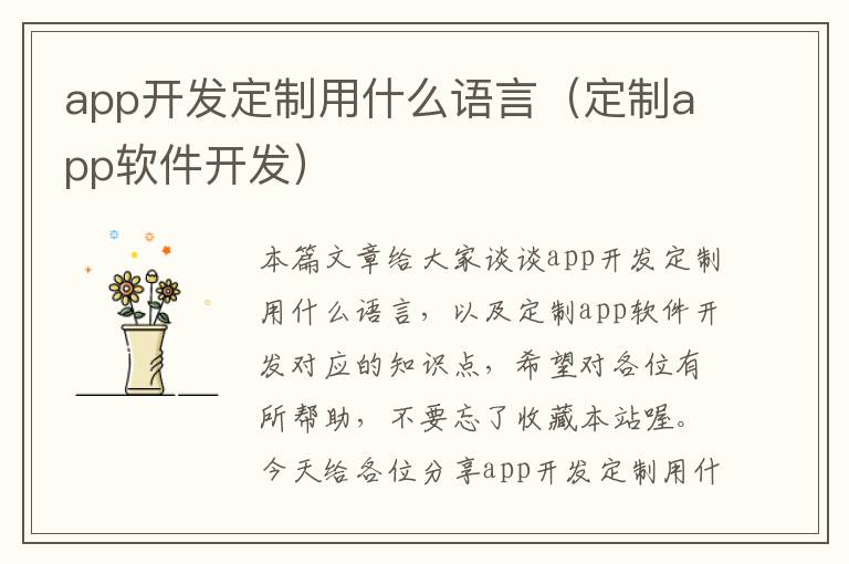 app开发定制用什么语言(定制app软件开发)