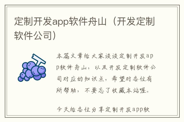 定制开发app软件舟山(开发定制软件公司)