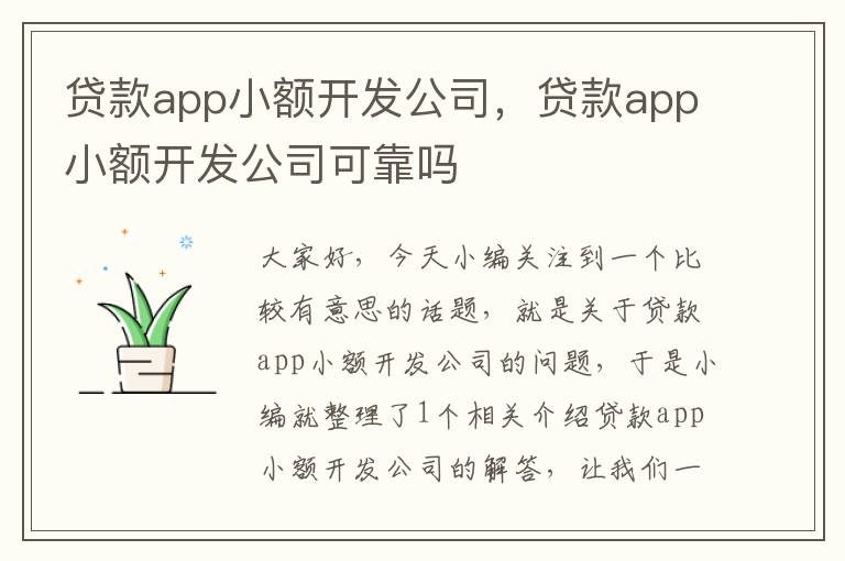 贷款app小额开发公司,贷款app小额开发公司可靠吗