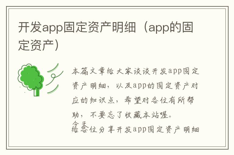 开发app固定资产明细(app的固定资产)