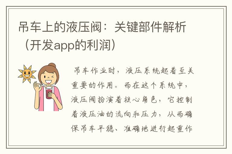 吊车上的液压阀:关键部件解析(开发app的利润)