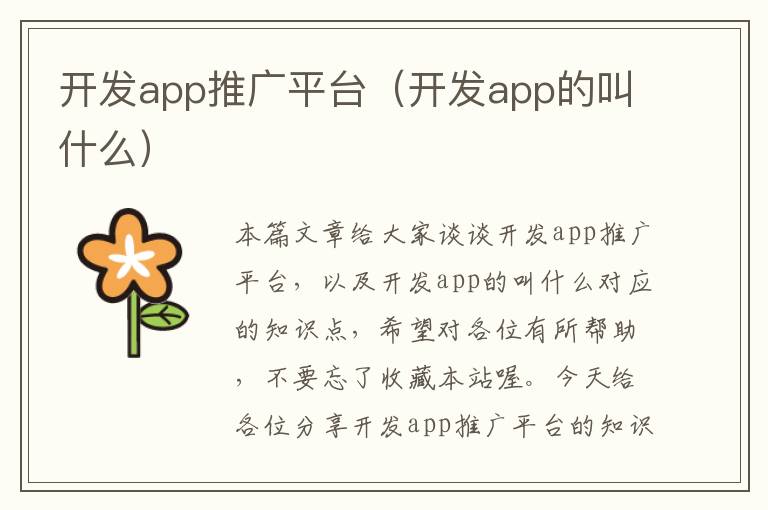 开发app推广平台(开发app的叫什么)