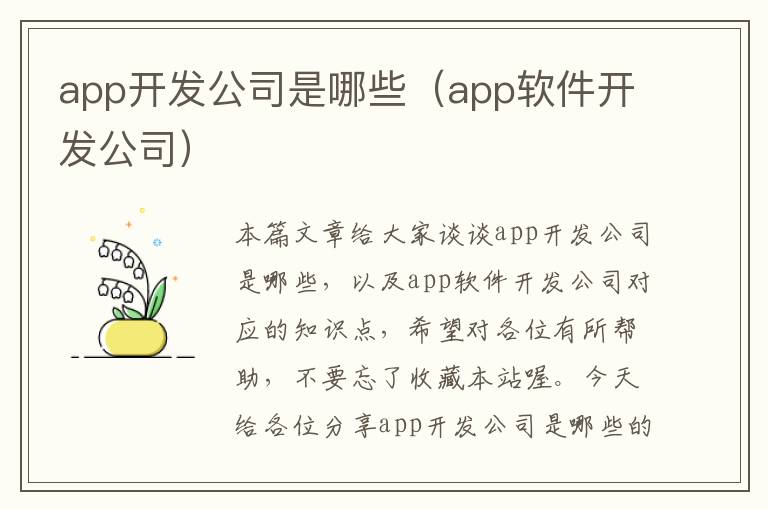 app开发公司是哪些(app软件开发公司)