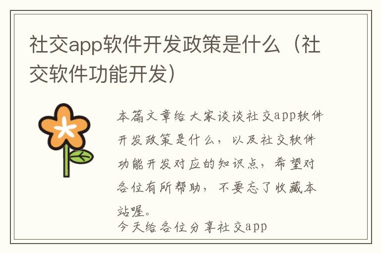 社交app软件开发政策是什么(社交软件功能开发)