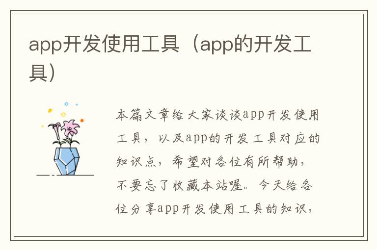 app开发使用工具(app的开发工具)