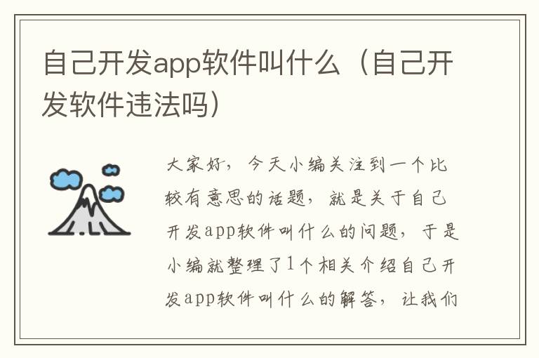 自己开发app软件叫什么(自己开发软件违法吗)