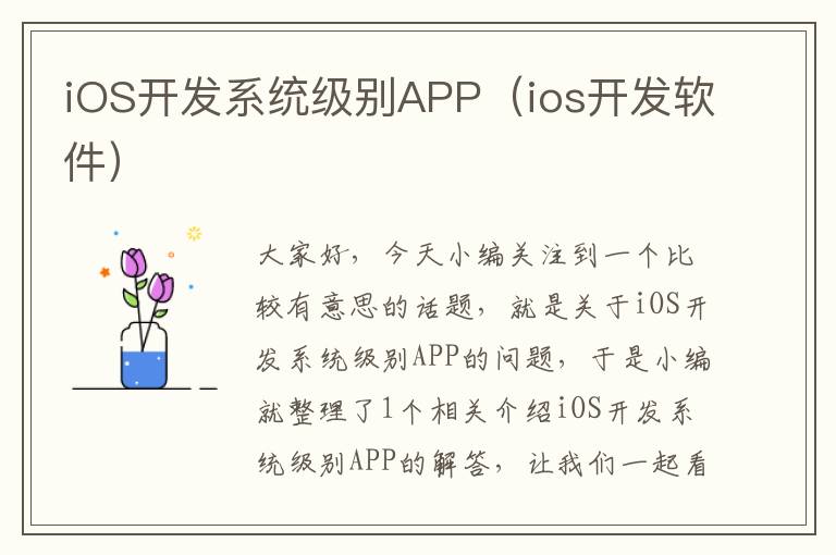 iOS开发系统级别APP(ios开发软件)