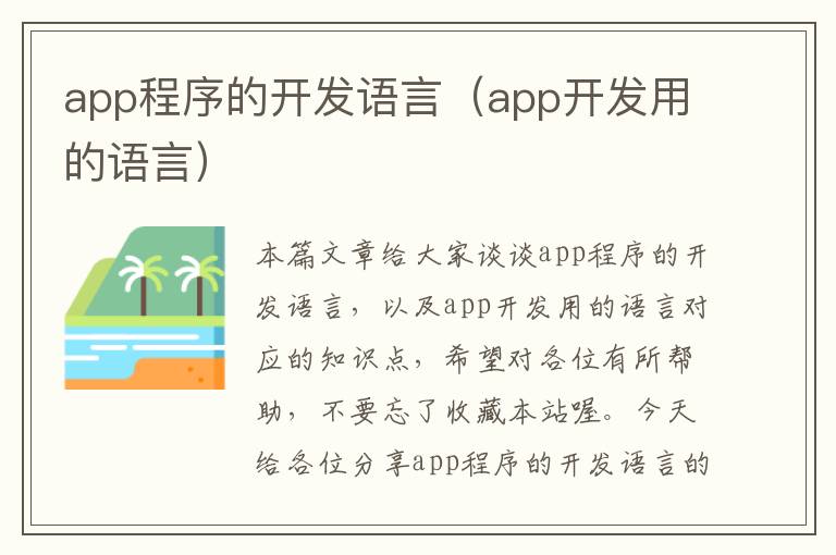 app程序的开发语言(app开发用的语言)