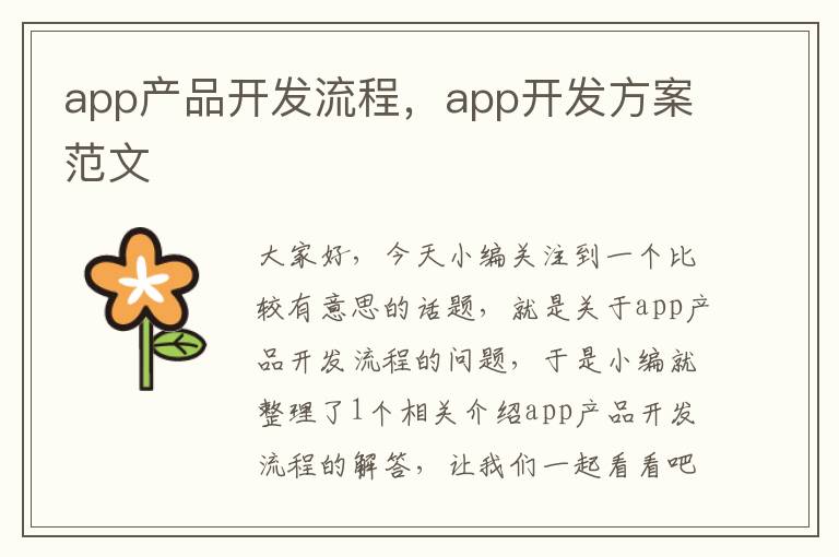 app产品开发流程,app开发方案范文