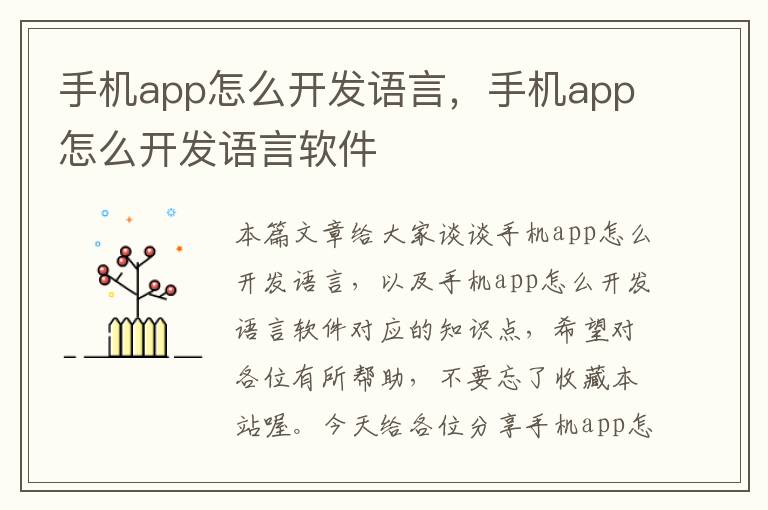 手机app怎么开发语言,手机app怎么开发语言软件