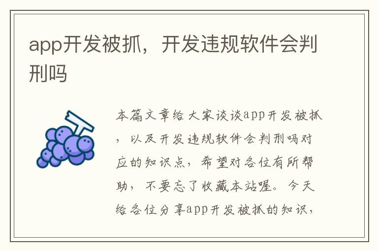 app开发被抓,开发违规软件会判刑吗