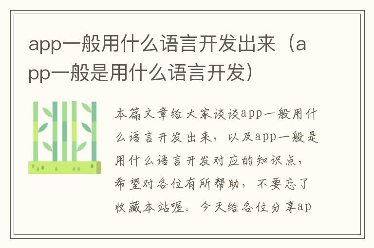 app一般用什么语言开发出来(app一般是用什么语言开发)