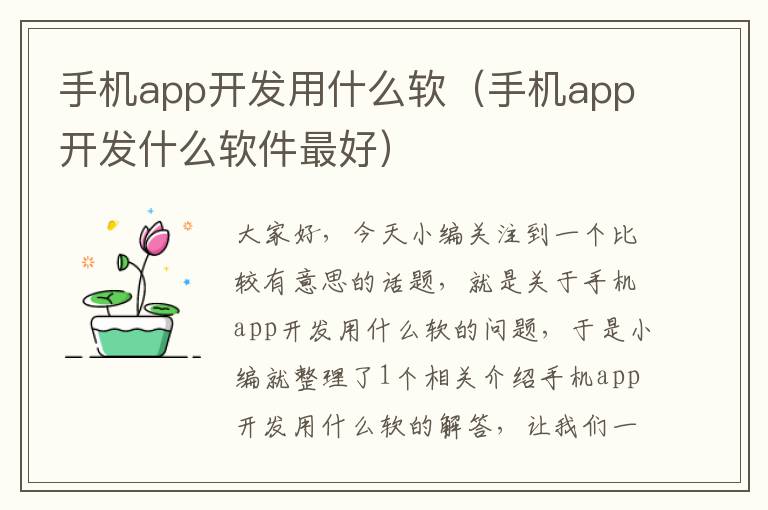 手机app开发用什么软(手机app开发什么软件最好)