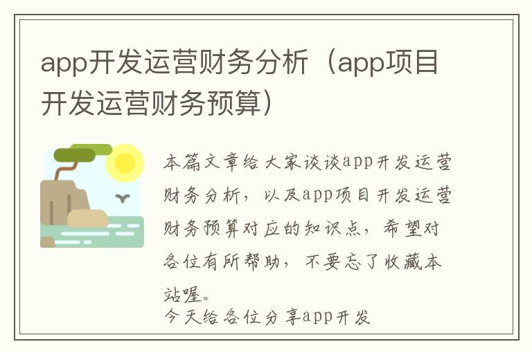 app开发运营财务分析(app项目开发运营财务预算)