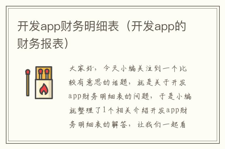 开发app财务明细表(开发app的财务报表)