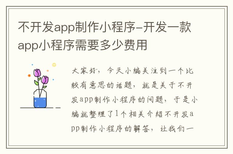 不开发app制作小程序-开发一款app小程序需要多少费用