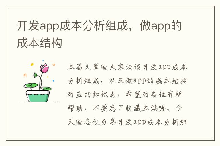 开发app成本分析组成,做app的成本结构
