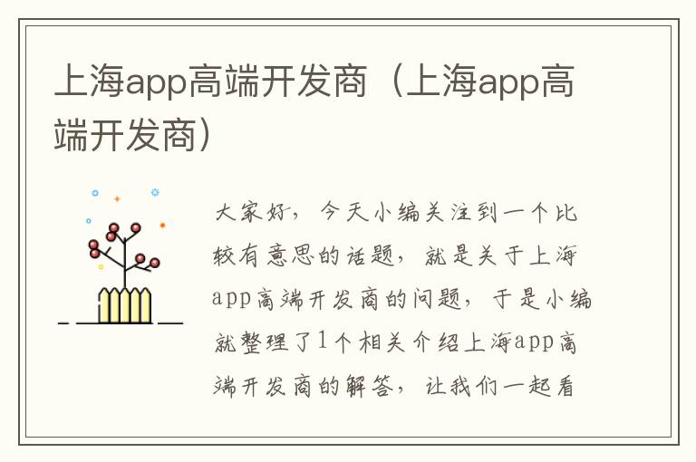 上海app高端开发商(上海app高端开发商)