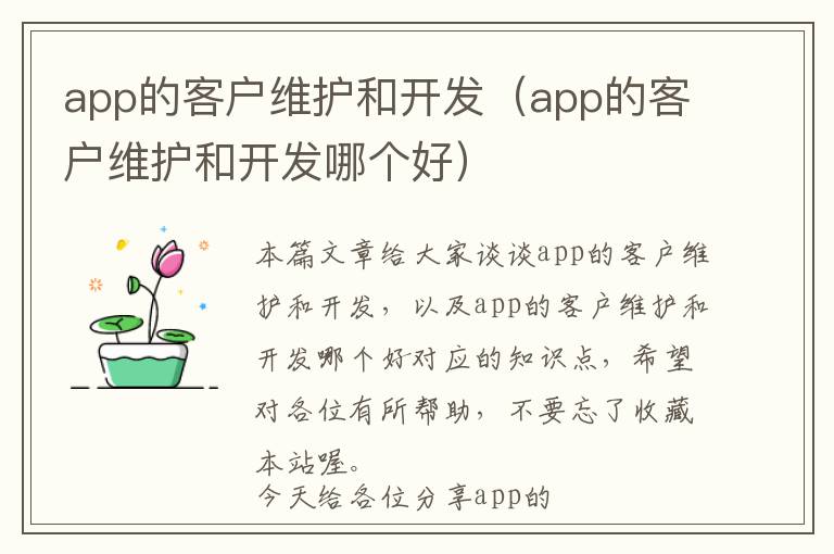 app的客户维护和开发(app的客户维护和开发哪个好)