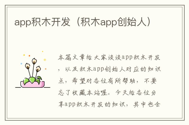app积木开发(积木app创始人)