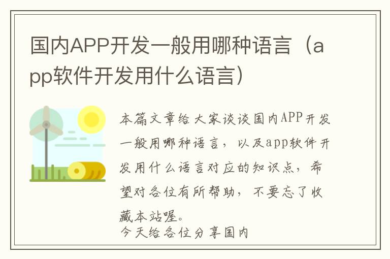 国内APP开发一般用哪种语言(app软件开发用什么语言)