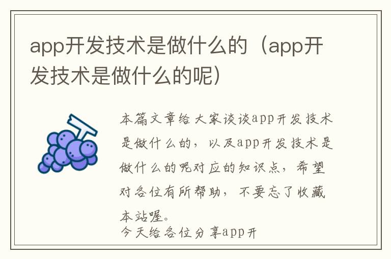 app开发技术是做什么的(app开发技术是做什么的呢)