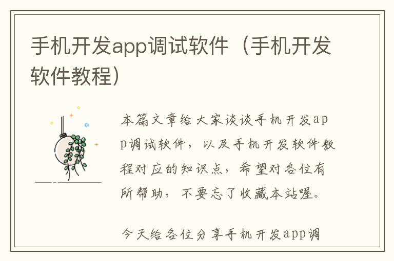 手机开发app调试软件(手机开发软件教程)