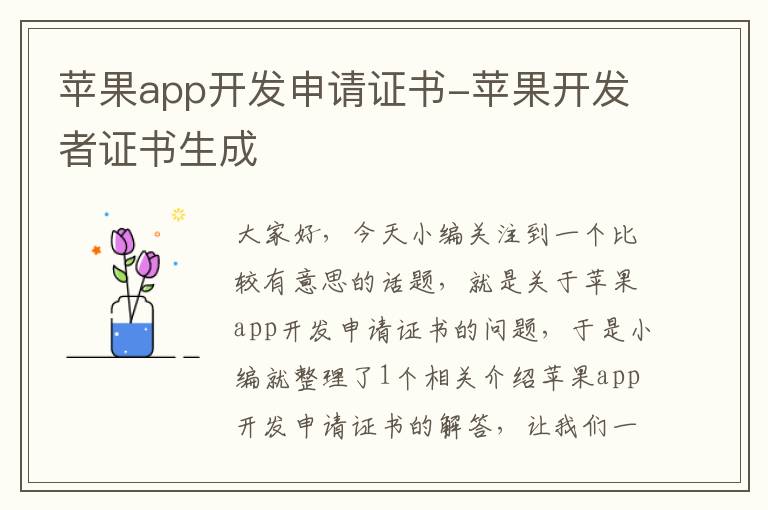 苹果app开发申请证书-苹果开发者证书生成