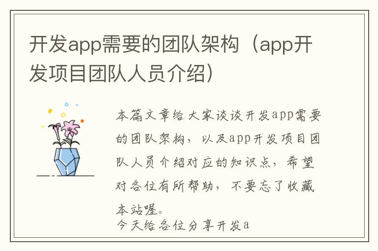 开发app需要的团队架构(app开发项目团队人员介绍)