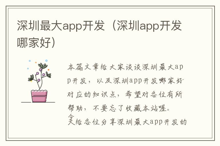 深圳最大app开发(深圳app开发哪家好)