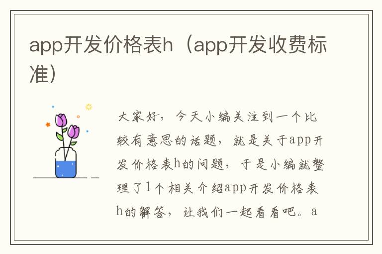 app开发价格表h(app开发收费标准)
