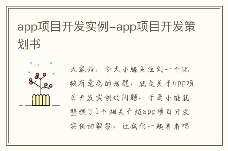 app项目开发实例-app项目开发策划书