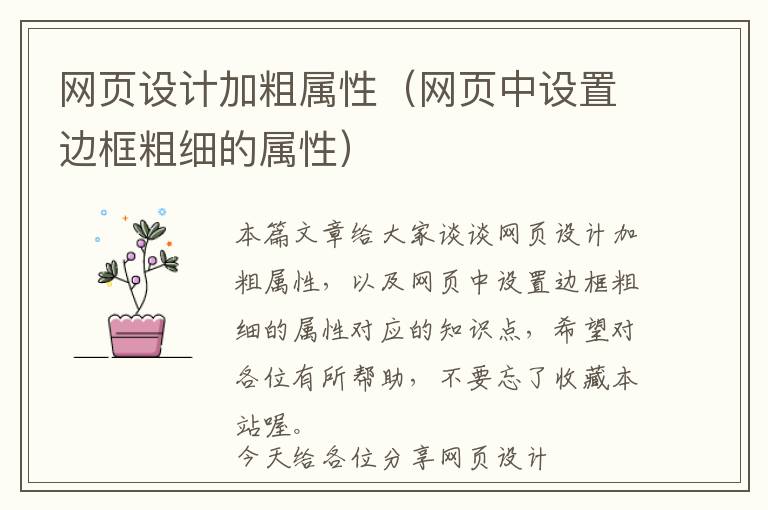 网页设计加粗属性(网页中设置边框粗细的属性)