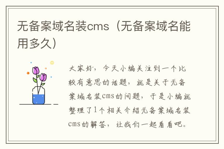 无备案域名装cms(无备案域名能用多久)