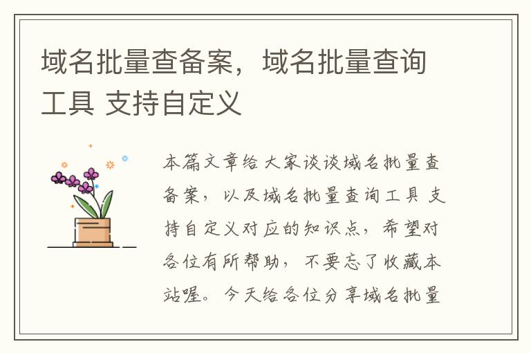 域名批量查备案,域名批量查询工具 支持自定义