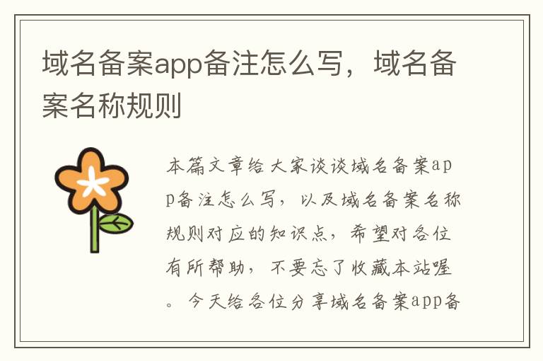 域名备案app备注怎么写,域名备案名称规则
