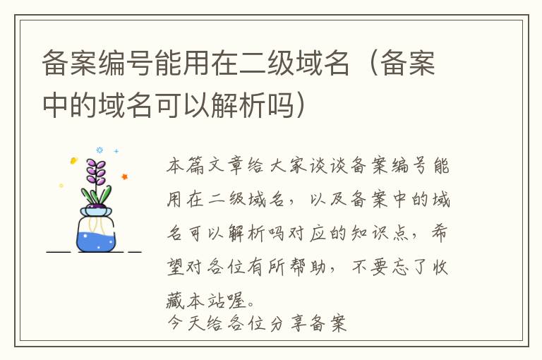 备案编号能用在二级域名(备案中的域名可以解析吗)