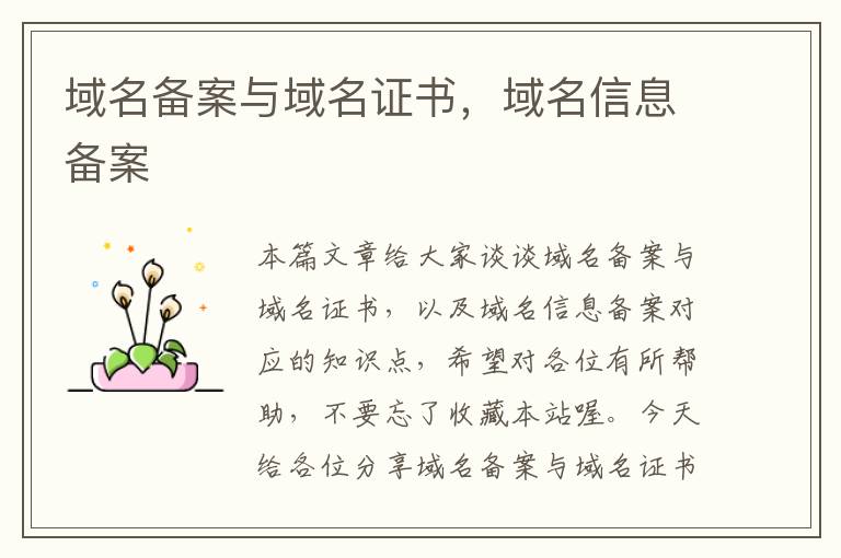 域名备案与域名证书,域名信息备案
