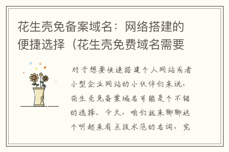 花生壳免备案域名:网络搭建的便捷选择(花生壳免费域名需要实名认证吗)