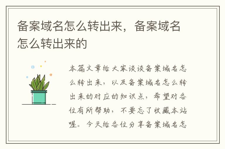 备案域名怎么转出来,备案域名怎么转出来的