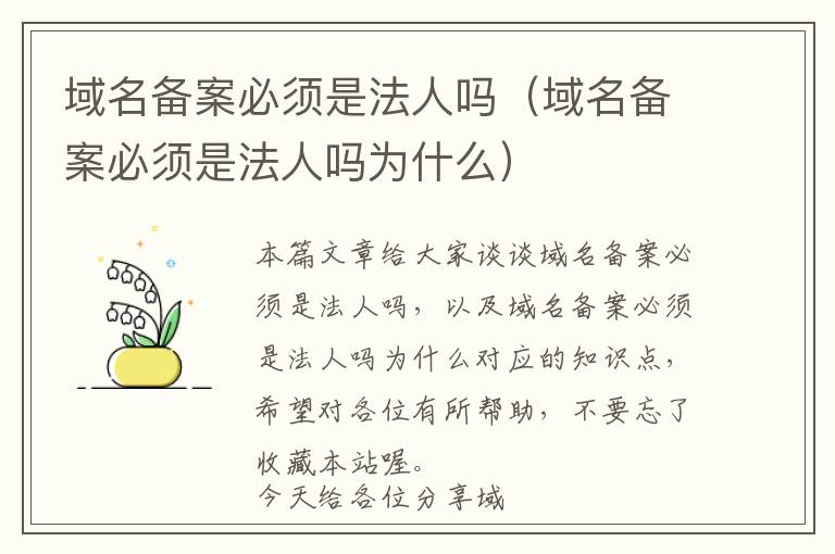域名备案必须是法人吗(域名备案必须是法人吗为什么)